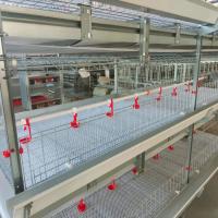 Tipo gaiola de H da grelha com sistema bebendo das aves domésticas