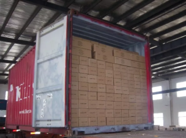 плоской головки ногтей длины 50mm общее хвостовика извива свободной кольцевое