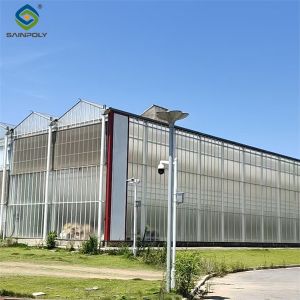 Dutch Venlo Greenhouse