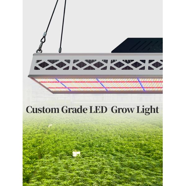 Lámparas de cultivo LED superiores de 640W de espectro completo para el crecimiento de plantas, para semilleros y floración en invernaderos