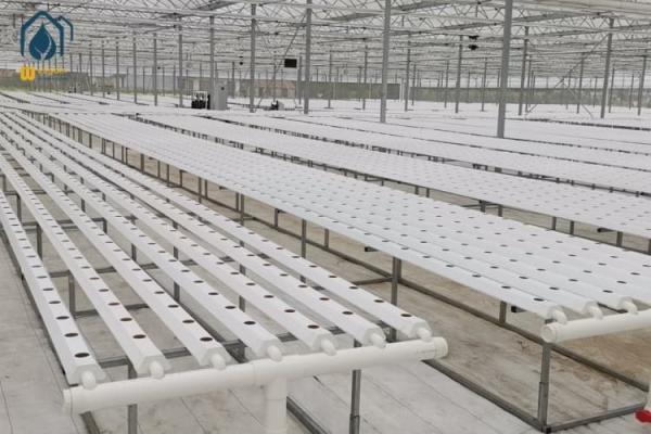 NFT Hydroponic PVC Growing Pipes System For High Yield Lettuce Cultivation