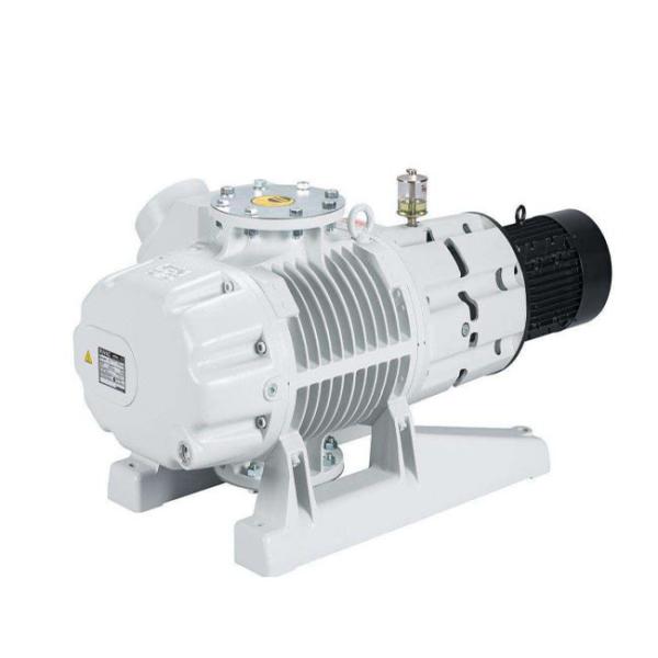 Energy-Saving Roots Vacuum Pump For Ethanol Gas Extraction