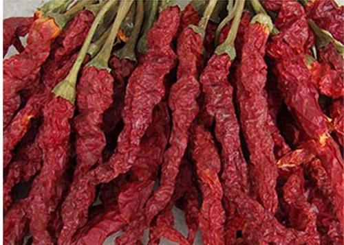 Le bloc forment piments rouges secs acaules de Xian Chilli Seasoning de longs