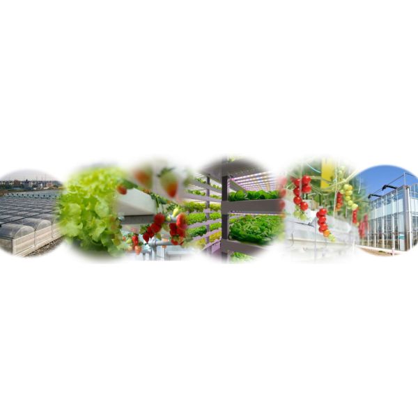 Проектирование теплицы для овощей и временного метода нагрева