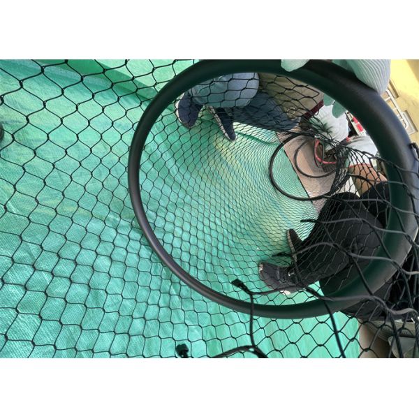 Шнуровая сетка диаметр 500 мм длина 25 м