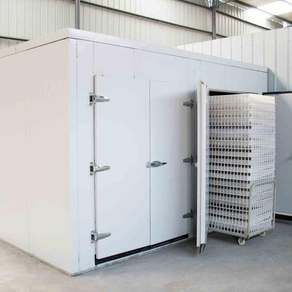 6 Trolley Industrial Drying Ovens Shellfish Beef Jerky Commercial Meat Dryer ODM