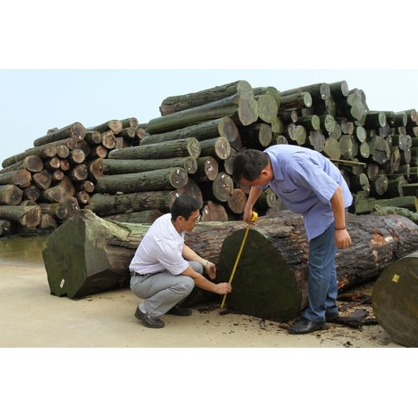 Переклейка причудливой переклейки облицовки вишни естественная/проектированная вишни древесины