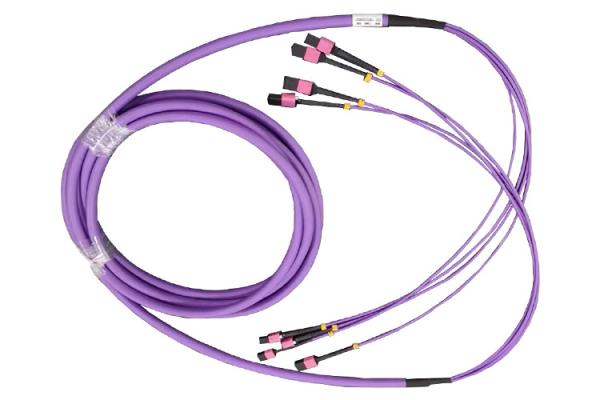 12F 24F 48F 72F 144F SM MM 100% Tested MPO MTP To MPO MTP Trunk Cable