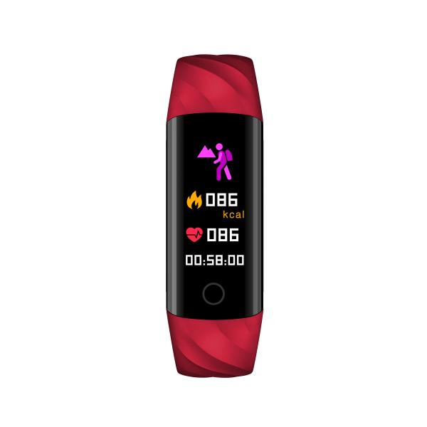 Heart Rate IP67 TFT Intelligence Heart Bracelet