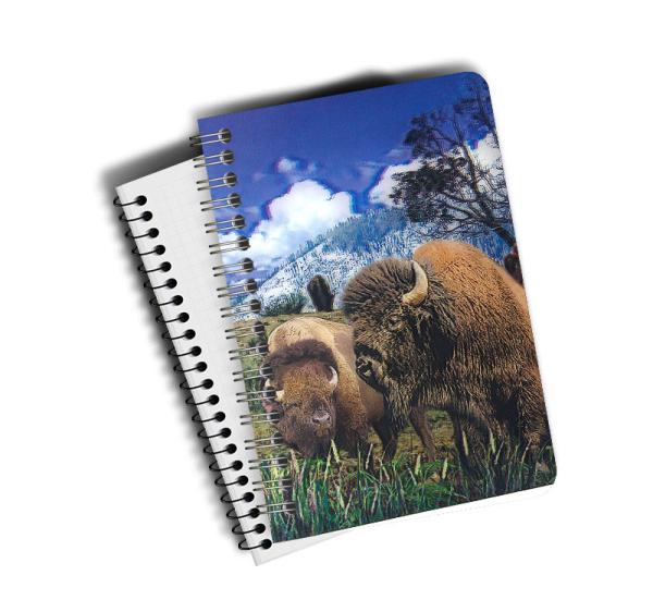 3D Lenticular Plastic Hard Cover Spiral Notebook For Office & School / Stationery Supplies