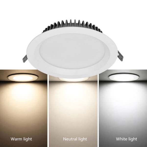 20W Dimmable Led Downlight With 6000K Cutout 220mm For Exhibition and Museum
