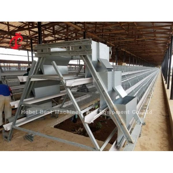 Le PVC a enduit l'équipement de ferme avicole de batterie 380V 3kw Emily