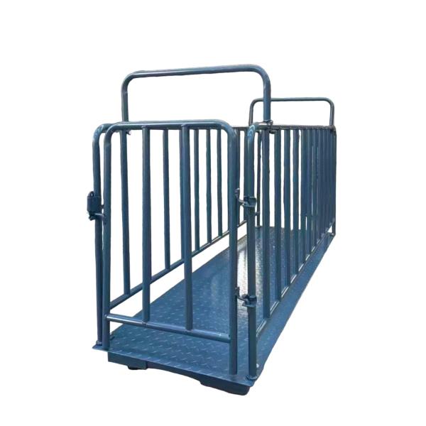 Balances de pesage pour bétail de 1 tonne avec affichage numérique LED et cage, performances stables, balance industrielle robuste pour sol