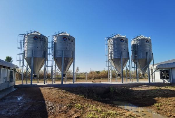 Hot Dip Galvanized Metal Steel Broiler Layer Poultry House With Automatic Brooding Equipment