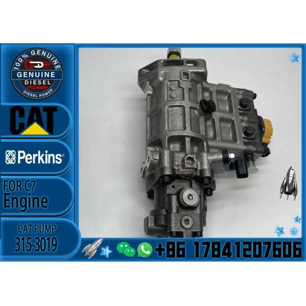 Diesel Engine Diesel Fuel Injection Pump 315-3019 For Caterpillar 320D Excavator 3153019 C6.6