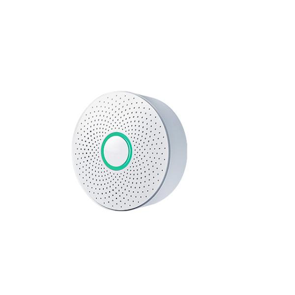 EN Wired Smart Gas Alarm Detector Natural CH4 Methane For Home
