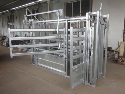 Aço resistente das escalas de peso Q235 do gado dos rebanhos animais do equipamento agrícola do gado