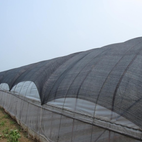 Black Green Shade Net  For Greenhouse Agriculture Sun Shade Net