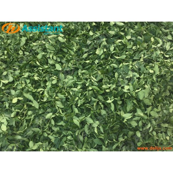 DL-4C-T Tea Harvesting Machine with MITSUBISHI TU26 Engine and 25.4 cc Displacement