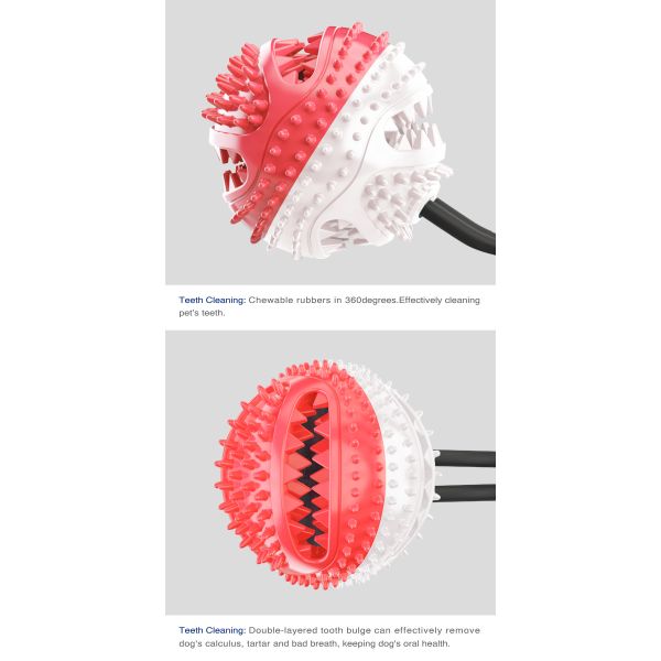 Eco Friendly Small Dog Teeth Cleaning Toys ODM Rally Training Puppy Teething Toys