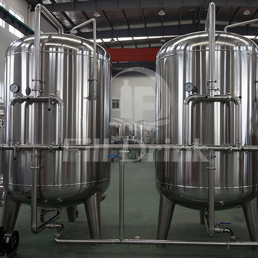 SUS 304 RO Water Treatment System 8040 Membrane 10000L/H Filter