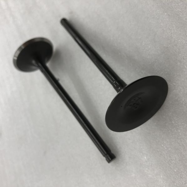 Valve d'échappement de moteur refroidie à l'huile pour moto à trois roues en acier DAYANG pour CB200-A