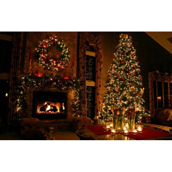 Christmas Santa String Lights Battery Operated Decorations for Xmas Warm White Fairy Lights for Christmas Tree Indoor Outdoor