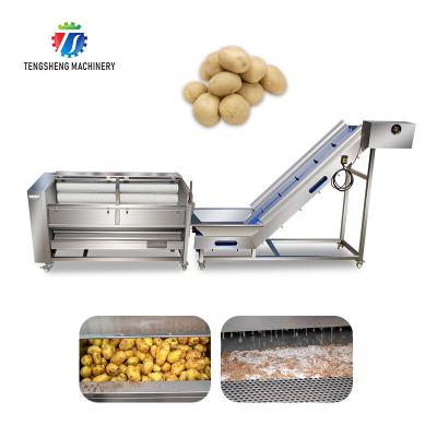 Linha de processamento lavagem das frutas e legumes de 1,5 toneladas/hora da escova da raiz