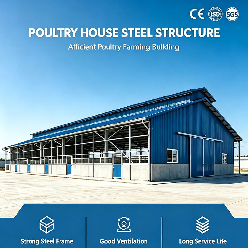 Steel Structure Poultry House Offering Solution for Poultry Farmers Seeking Durable and Functional Housing Structures