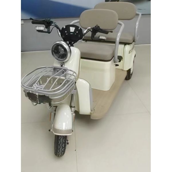 Manned Leisure Electric Vehicle Hot Chinese Small Electric Tricycle with Powerful 801-1000W Motor