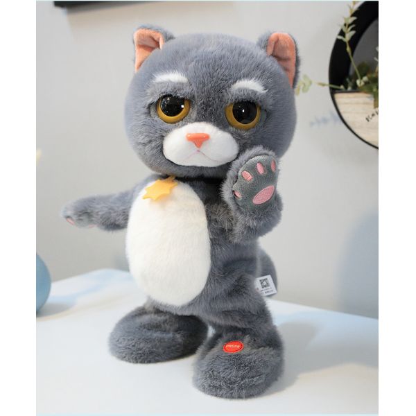 чучело кота Tabby 23cm