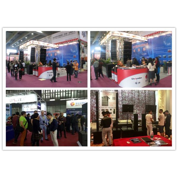 8 Inch Professional Live Sound Speakers For KTV Rooms or Pub