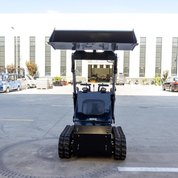 25hp Diesel Petrol Mini Skid Loader com motor EPA e roda de rastreamento 280kg 380kg