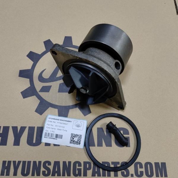 Hyunsang partie la pompe à eau naturelle de moteur à gaz de pièces de machines de construction 451031/02 451091/03