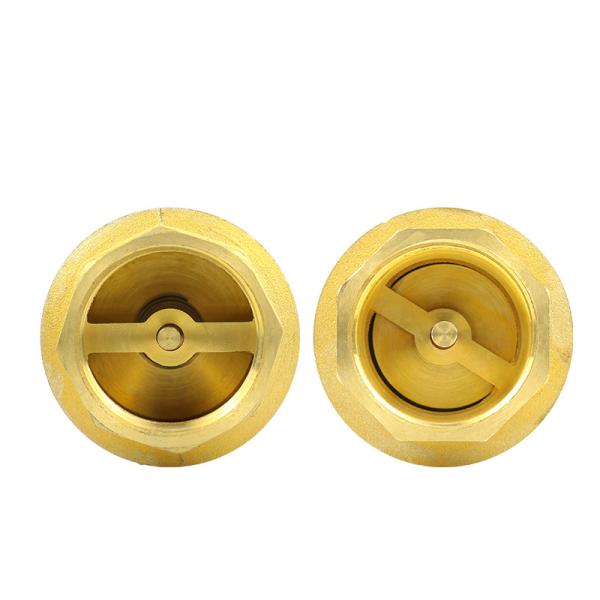 1/2 To 4 Inch  Check Valve Female Thread 3 years Warranty