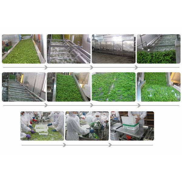 фасоли Mukimame IQF 6cm замороженные Edamame обстреливали Edamame в стручке