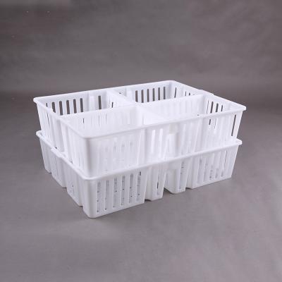 Acessórios velhos de um dia do equipamento dos rebanhos animais de Chick Transport Boxes 1900g das aves domésticas
