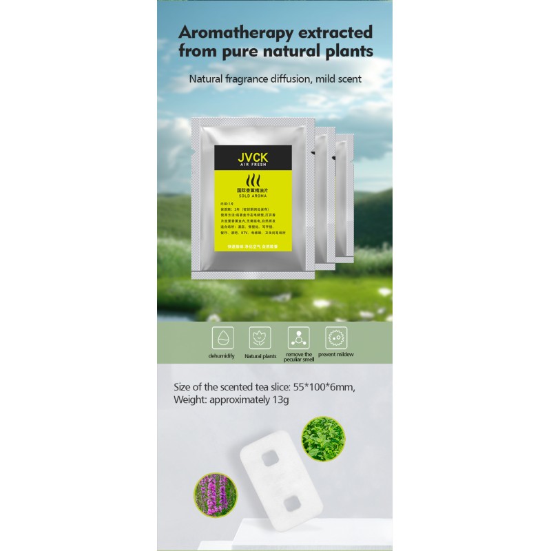 Wall Mounted Solid Fragrance Air Freshener 90*130*7mm Size for Commercial and Household Use