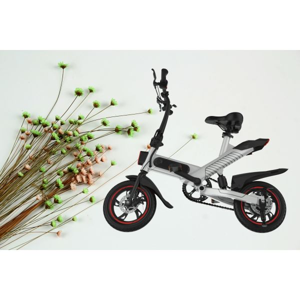 Portable Adult Folding Electric Bike Lithium Battery Powered For Travel Leisure Life