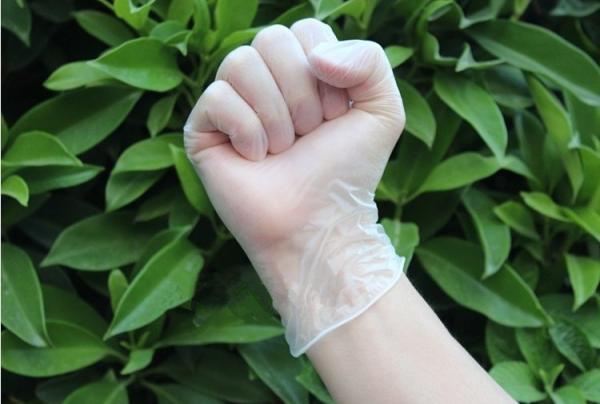 Medical Examination Powder Free Vinyl Gloves  / Latex Free Vinyl Disposable Gloves Without Powder