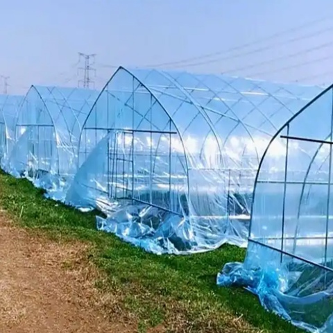 High Strength Plastic Agricultural Film Offering Excellent UV Resistance