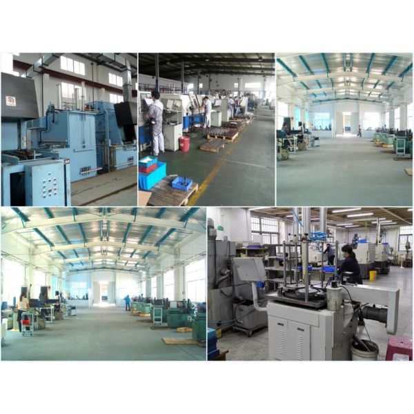 Xi'an JW Import & Export Co.,Ltd