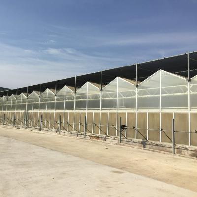5x4 4x6 4x4 4x2 Policarbonato Estufas Comerciais Com Tomate Growing System Grande Hidropônico