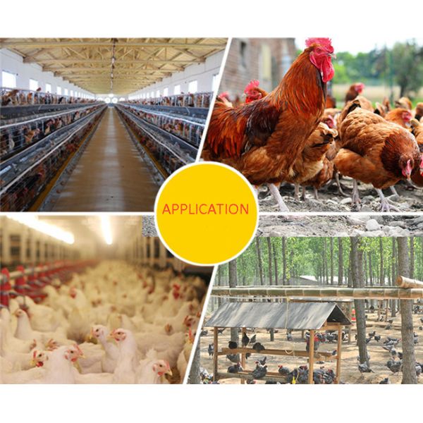 Пьяницы и фидеры цыпленка пьяниц воды птицы трубы POM 8mm автоматические