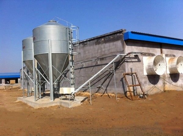 Broiler Breeder House Stainless Poultry Farm Equipment