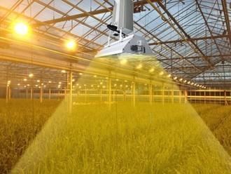 Aluminum Hood Greenhouse Grow Lights With 1000 Watts Double - Ended HPS Lamp