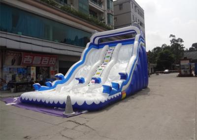 Outdoor Double Dolphin Inflatable Backyard Water Slide With 9L X 4W X6H