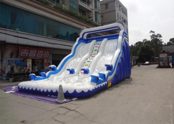 Outdoor Double Dolphin Inflatable Backyard Water Slide With 9L X 4W X6H
