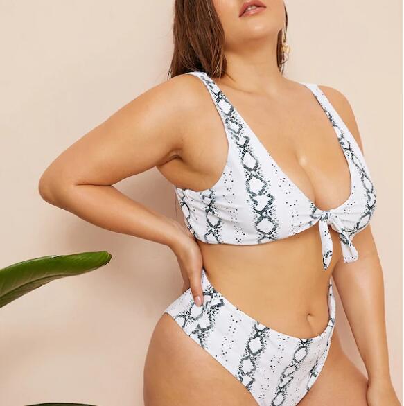 2019 New Plus SizeTwo piece  Swimsuit Women Push up