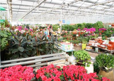 Single Span Ecological Greenhouse , Large Glass Greenhouse Aluminium / Steel Metal Type